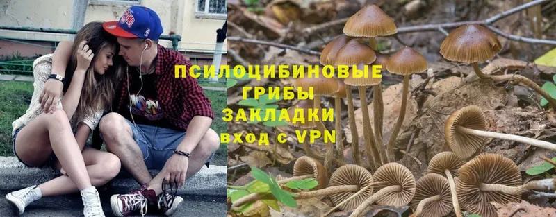 Псилоцибиновые грибы MAGIC MUSHROOMS  Барнаул 